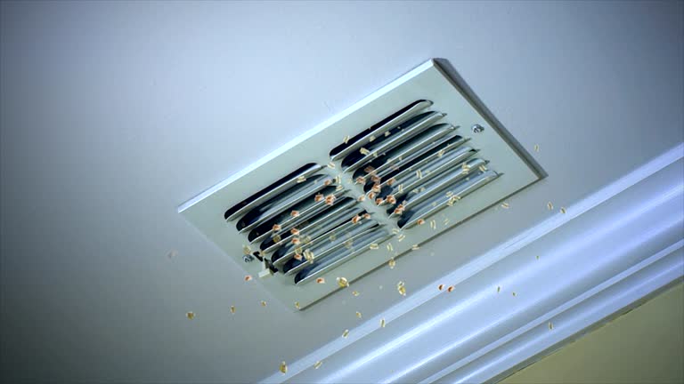 Best General Air Duct Cleaning  in East Mountain, TX