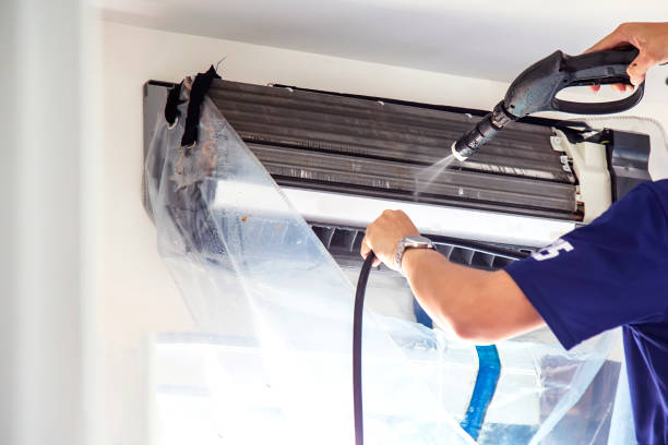 Best Air Duct Mold Removal  in East Mountain, TX