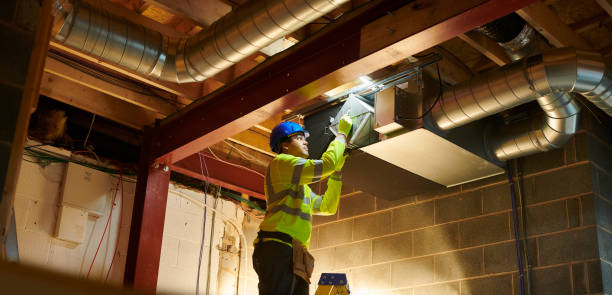 Air Duct Mold Removal in East Mountain, TX