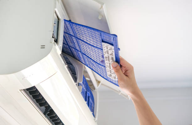 Best Ductwork Cleaning Services  in East Mountain, TX